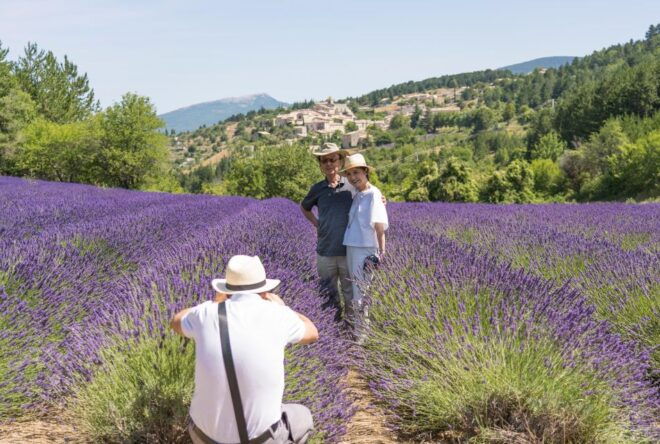From Marseille: Lavender Full-Day Valensole - Customer Reviews