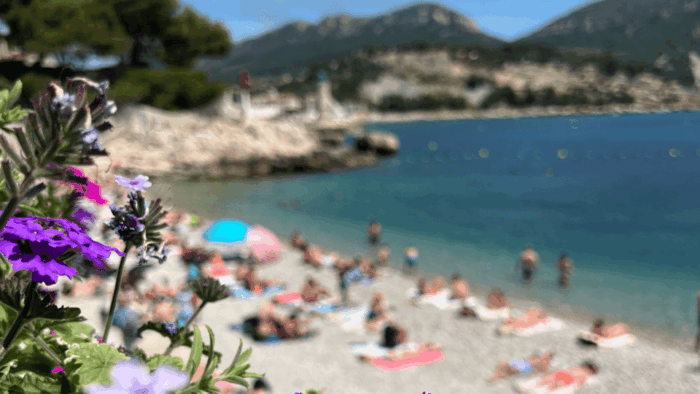 From Marseille to Cassis: a Journey to the Heart of the Calanques and Traditions. - Booking and Cancellation Policies