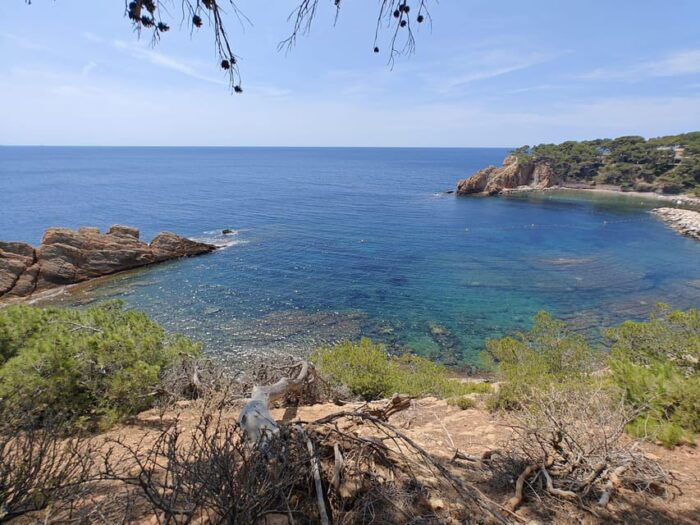 From Marseille to the Calanques Blueues by Train, Hike, Lagoons and Villages - Frequently Asked Questions