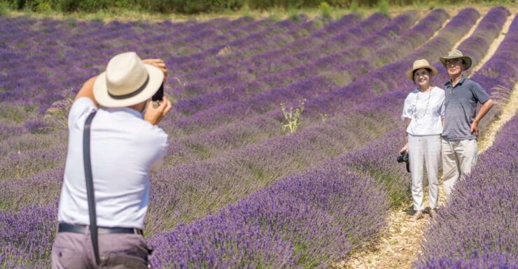 From Marseille: Valensole Lavenders Tour From Cruise Port - Experience Highlights