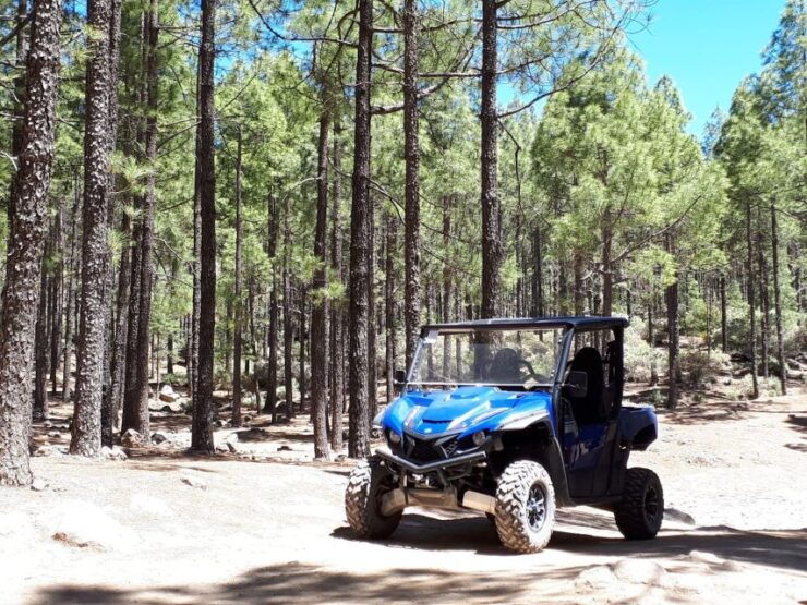 From Maspalomas: Volcanic Landscapes 4-Seater Buggy Tour - Tour Details
