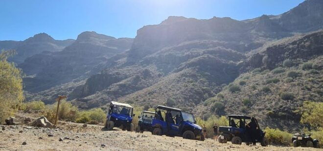 From Maspalomas: Volcanic Landscapes 4-Seater Buggy Tour - The Sum Up