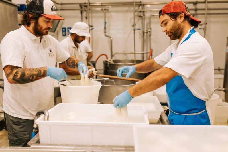 From Matera: Altamura Cheese and Pastry Tasting Day Trip - Good To Know