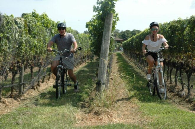 From Mattituck: North Fork Area Bike Tour With Food Tasting - Experience Highlights