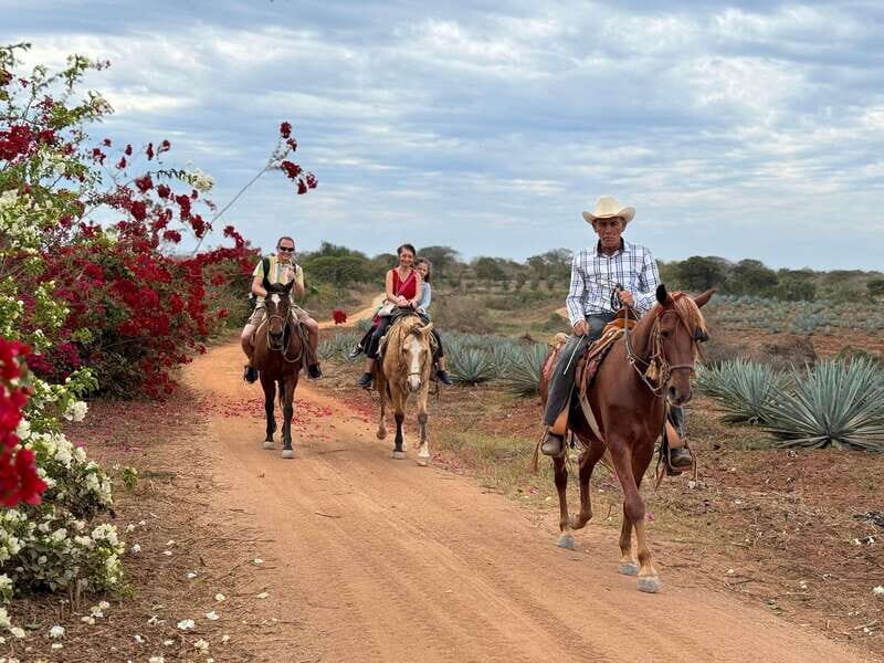 From Mazatlan: ATV & Horse Back riding with Tequila Tasting - Good To Know