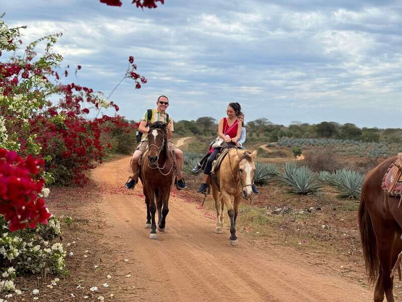 From Mazatlan: ATV & Horse Back riding with Tequila Tasting - Who Will Love This Tour?