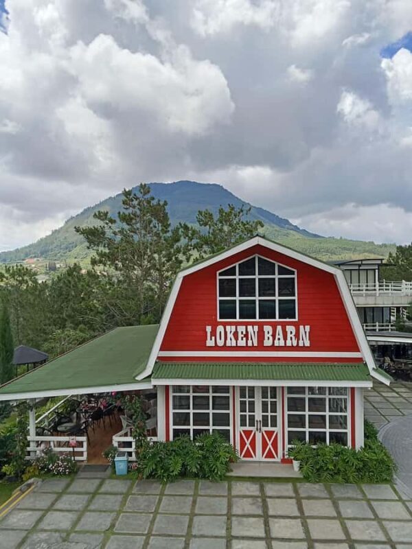 From Medan City: 1-Day Trip to Lake Toba - Who Should Consider This Tour?