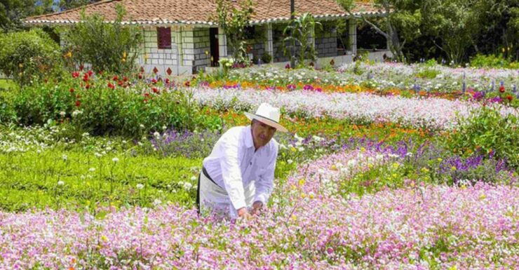 From Medellín: Colombian Flower Farm Private Full-Day Tour - Tour Booking Details