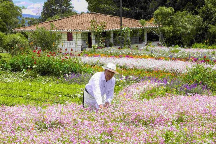 From Medellín: Colombian Flower Farm Private Full-Day Tour - Tour Experience Highlights