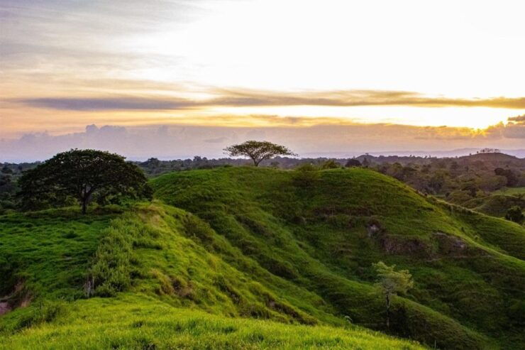 From Medellin; Exclusive (All-In) Authentic Ranch Experience - Experience Details