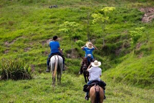 From Medellin; Exclusive (All-In) Authentic Ranch Experience - The Sum Up