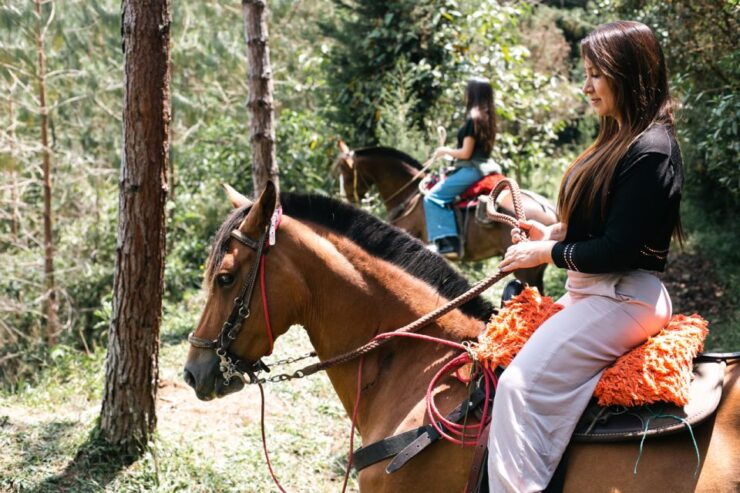 From Medellin: Farm, Food, & Countryside Day Tour - Tour Details