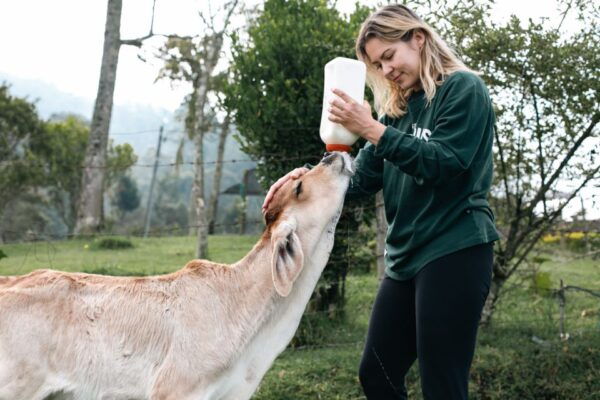 From Medellin: Farm, Food, & Countryside Day Tour - The Sum Up
