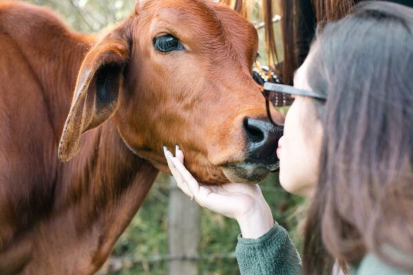 From Medellin: Farm, Food, & Countryside Day Tour - Frequently Asked Questions