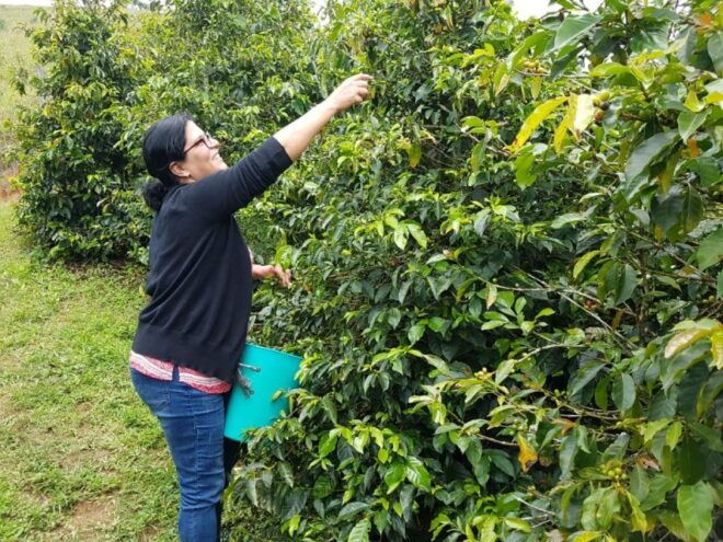 From Medellin: Full Day Fredonia Coffee Private Tour - Tour Inclusions