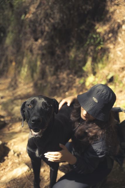 From Medellin: Guided Hiking Tour in Nature - Nature Experience
