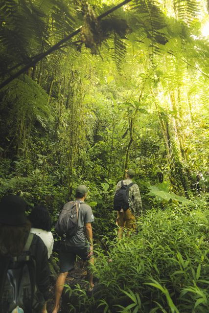 From Medellin: Guided Hiking Tour in Nature - Customer Reviews