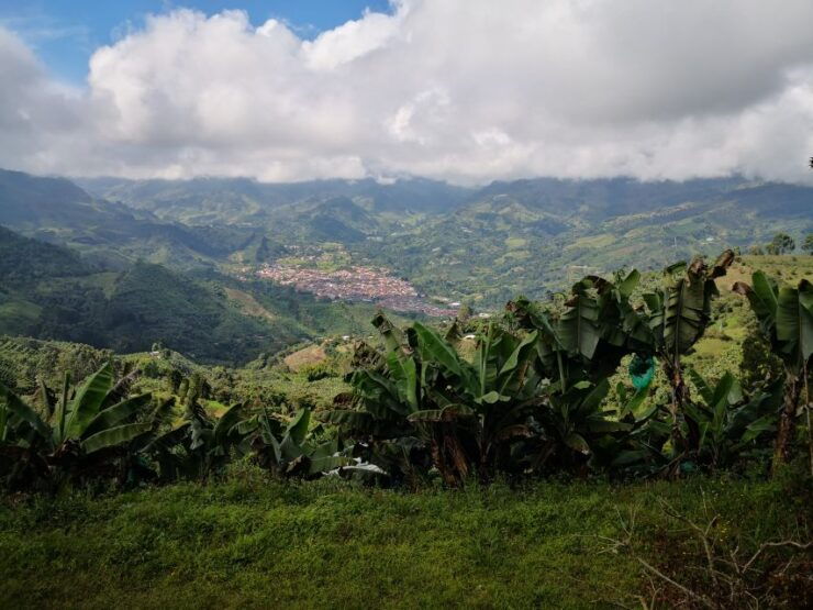 From Medellín: Jardín Town and Coffee Farm Full-Day Tour - Experience Highlights