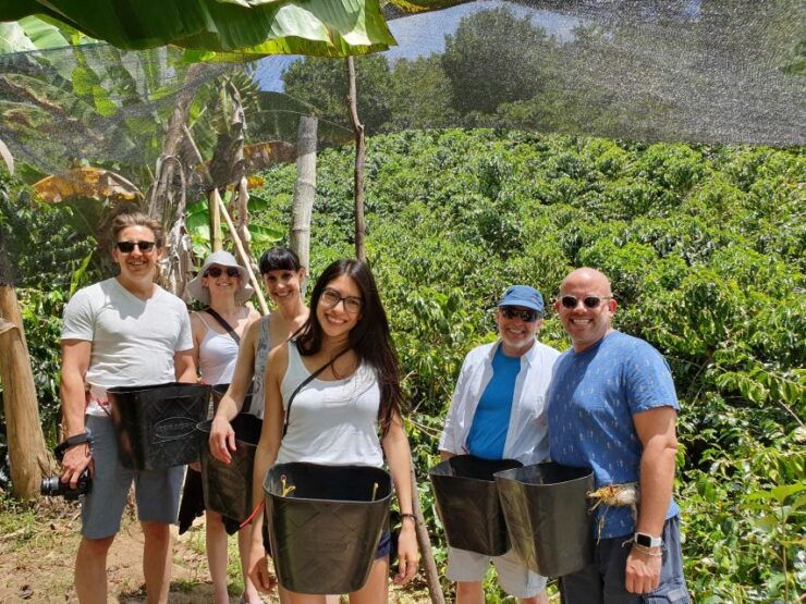 From Medellin: Private Envigado Coffee Tour With Tastings - Coffee Production Process Exploration