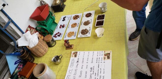 From Medellin: Private Envigado Coffee Tour With Tastings - Local Tastings and Cultural Insights