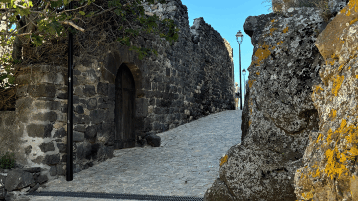 From Medieval Evenos to Bandol Wines : a Taste of Provence - Accessibility and Transportation Details
