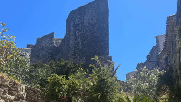 From Medieval Evenos to Bandol Wines : a Taste of Provence - Frequently Asked Questions
