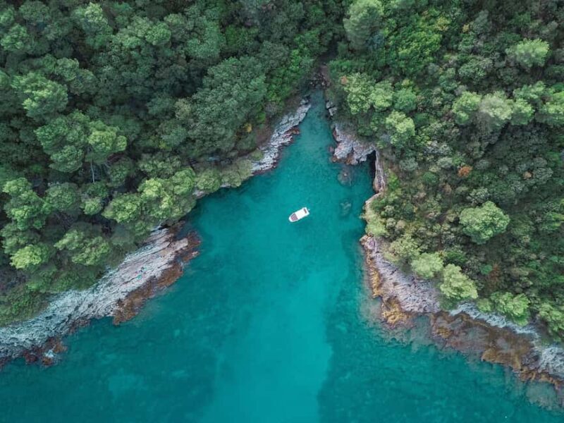 From Medulin: Istria Speedboat Tour with Snorkeling - Good To Know
