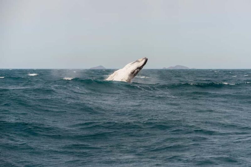 From Melbourne: 5-Day Victorian Alps & Gippsland Lakes Trip - Practical Aspects & Value