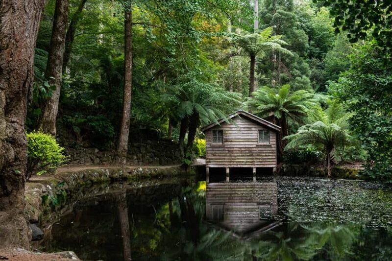 From Melbourne: Dandenong Ranges Private Day Tour - Transportation, Timing, and Group Size