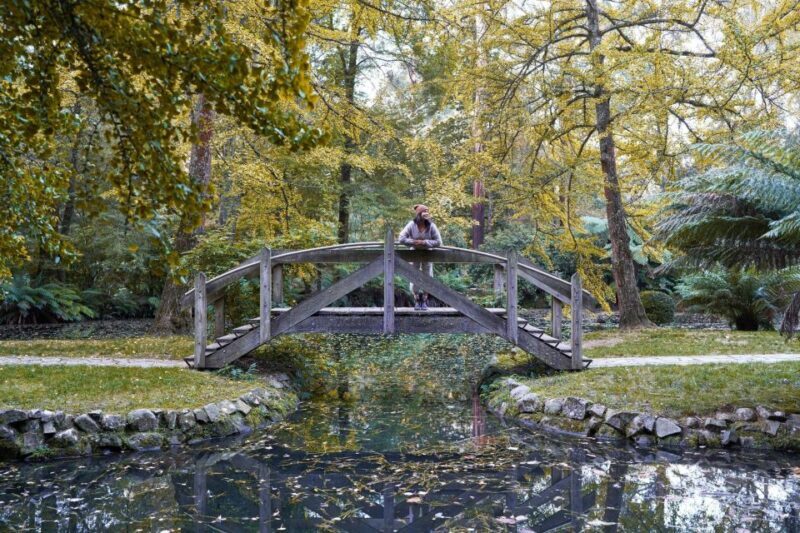 From Melbourne: Dandenong Ranges Private Day Tour - Authentic Insights from Reviews