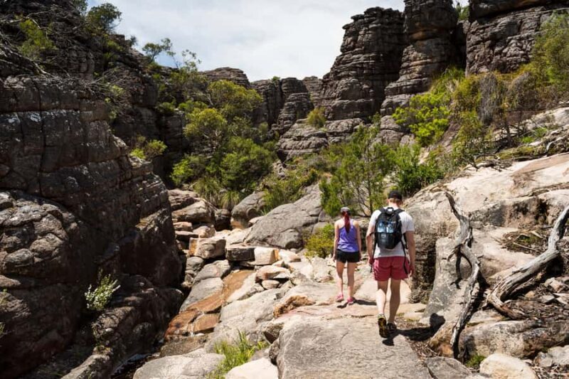 From Melbourne Grampians National Park Kangaroos Guided Tour - Transport & Practical Aspects