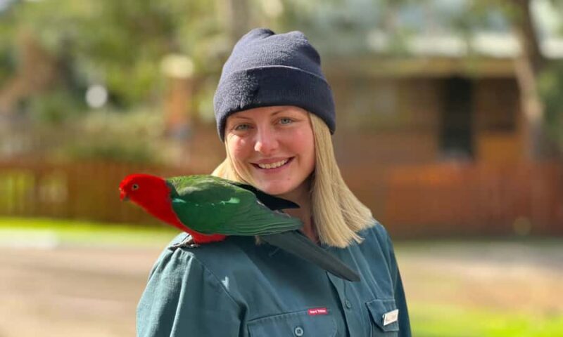 From Melbourne: Great Ocean Road Full-Day Sunset Tour - FAQ