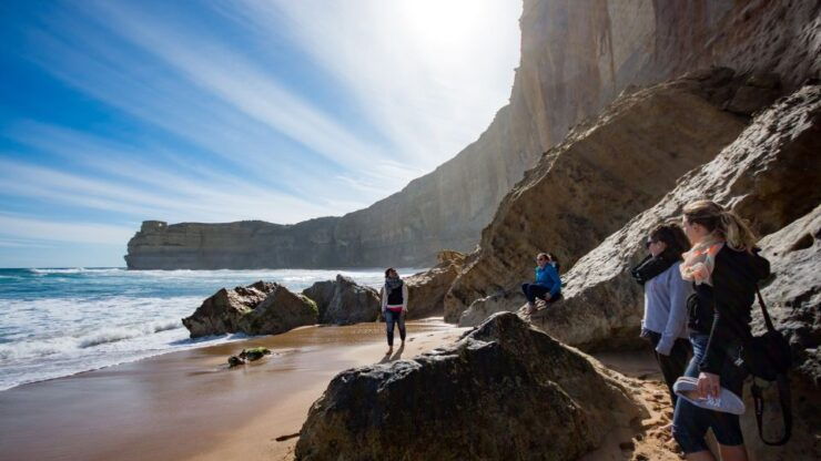 From Melbourne: Great Ocean Road & Rainforest Full-Day Trip - Activity Details