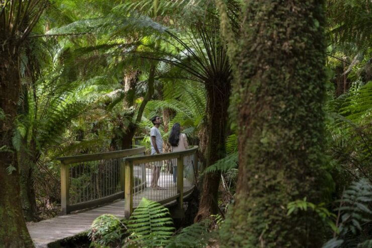 From Melbourne: Great Ocean Road & Rainforest Full-Day Trip - Experience Highlights