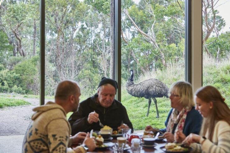 From Melbourne: Luxury Great Ocean Road & Wildlife Tour - Activity Details