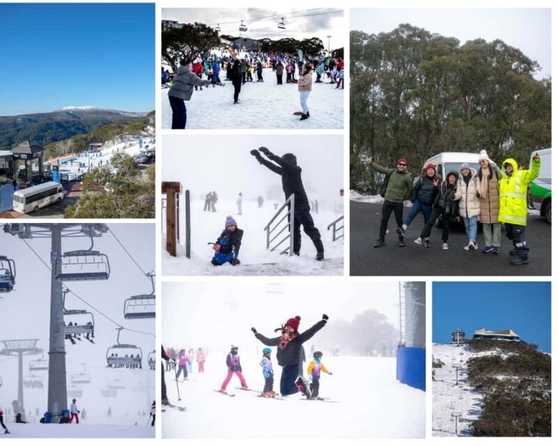 From Melbourne: Mount Buller Guided Day Tour - The Journey to Mount Buller: Comfort and Convenience