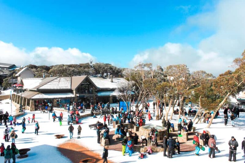 From Melbourne: Mount Buller Guided Day Tour - Scenic Chairlift Ride: A Must-Do