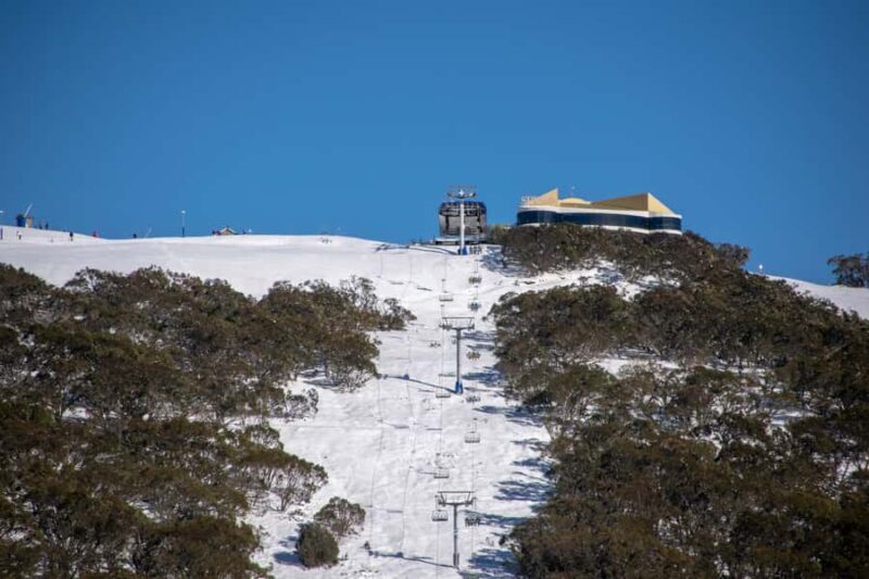 From Melbourne: Mount Buller Guided Day Tour - Who Is This Tour Best For?