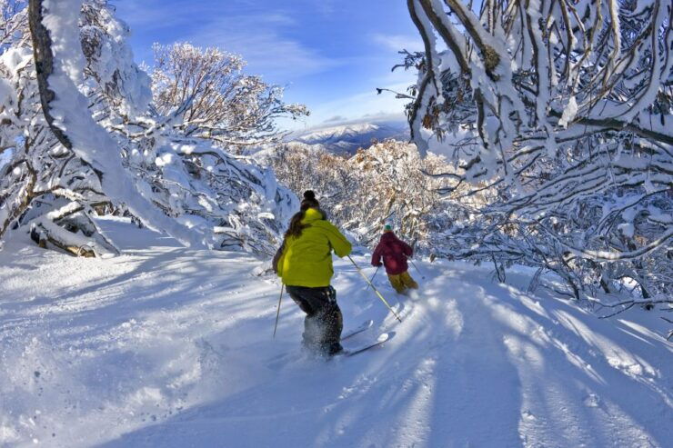 From Melbourne: Mt Buller Day Tour - Booking Details