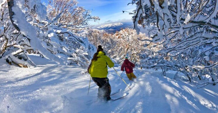 From Melbourne: Mt Buller Day Tour - Experience Highlights