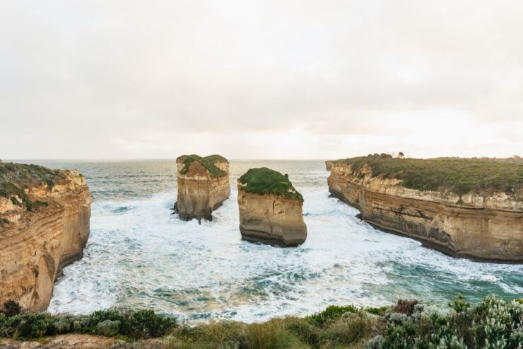 From Melbourne: Penguin Parade, Koalas & Kangaroos - Activity Information