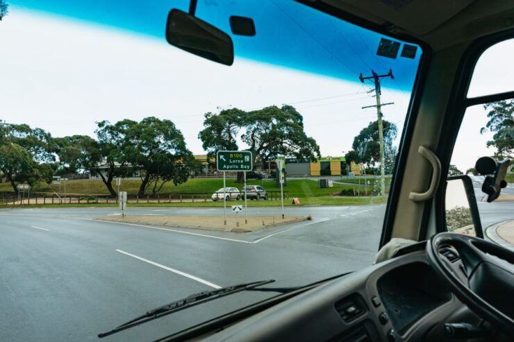 From Melbourne: Penguin Parade, Koalas & Kangaroos - Experience Highlights