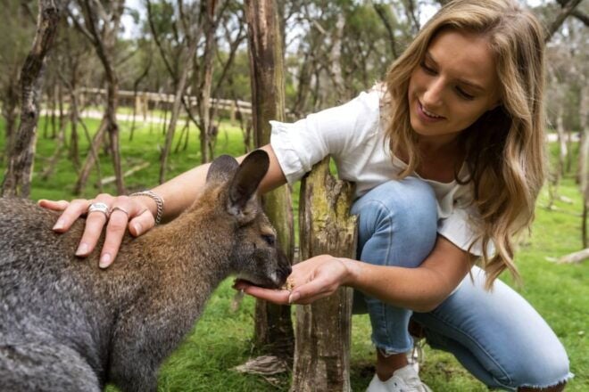 From Melbourne: Penguins and Wildlife Nature Day Tour - Full Description