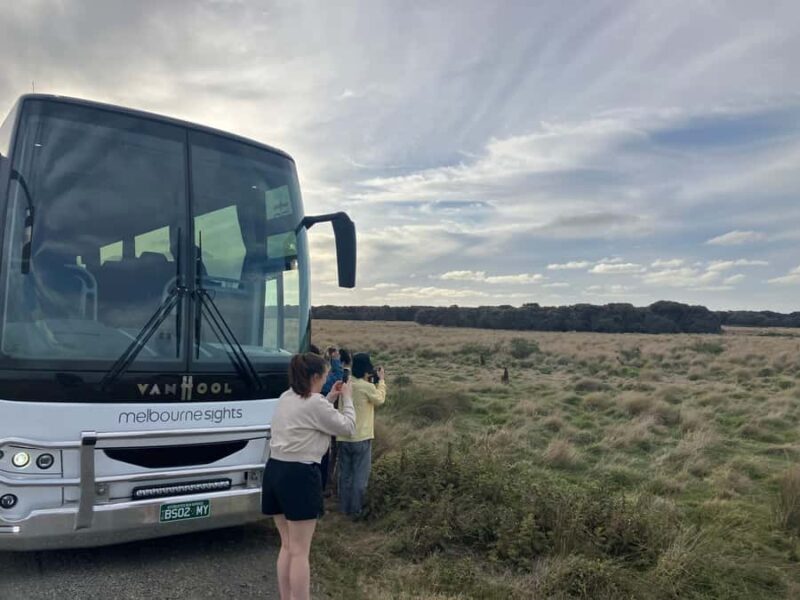 From Melbourne: Phillip Is Penguin Parade & Koala Reserve - Final Words