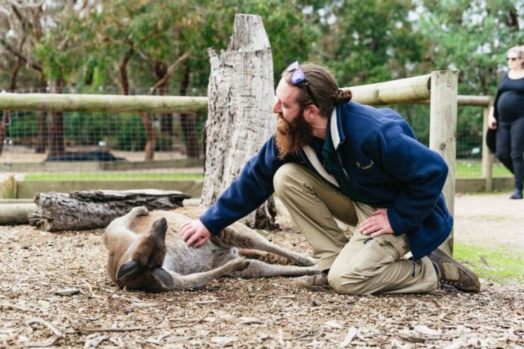 From Melbourne: Phillip Island Eco Wildlife Tour - Activity Details