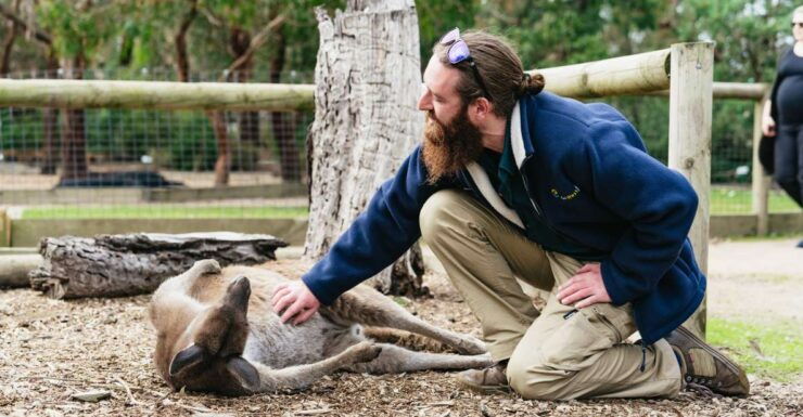 From Melbourne: Phillip Island Eco Wildlife Tour - Activity Highlights