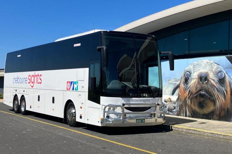 From Melbourne: Phillip Island Penguin Parade Express Coach - Departure Information