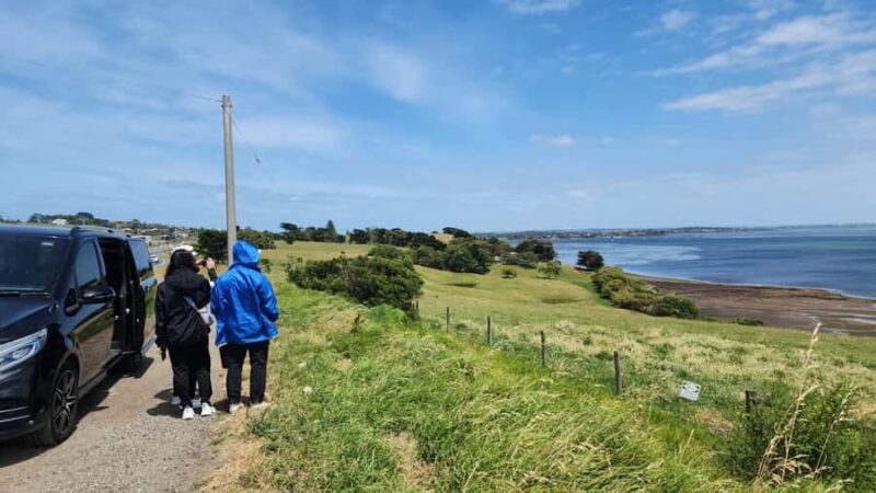 From Melbourne: Phillip Island Penguin Parade Private Tour - Authentic Insights from Reviews