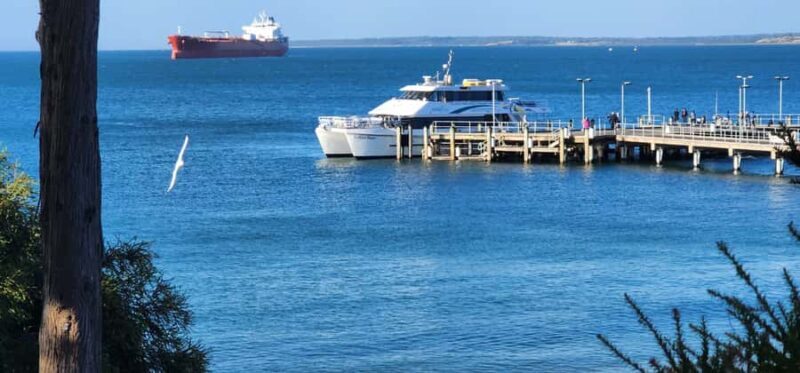 From Melbourne: Phillip Island Penguin Parade Private Tour - The Sum Up