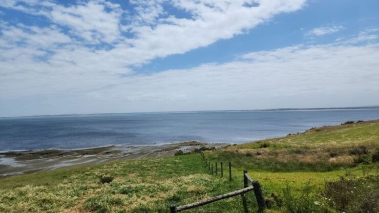 From Melbourne: Phillip Island Penguin Parade Private Tour - Booking Details